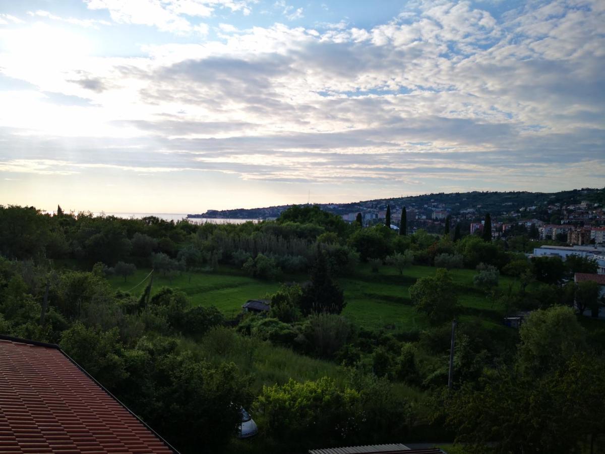 Solmar, Apartment With Big Terrace Near Nature Порторож Экстерьер фото